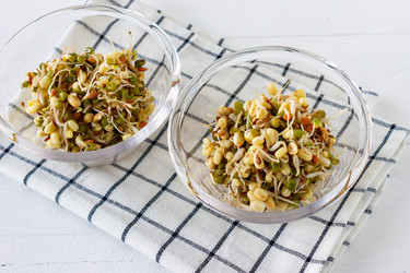 Similar image 21083500