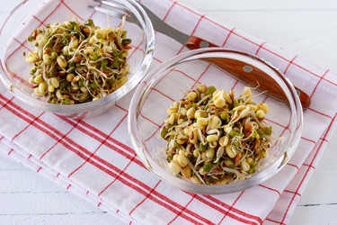 Similar image 21083538