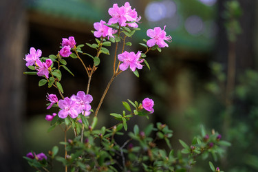 Similar image 21097410