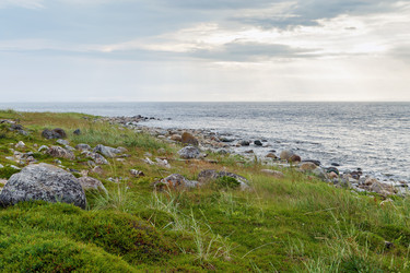 Similar image 21086747