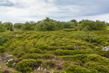 Similar image 21087211