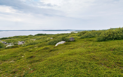 Similar image 21087212