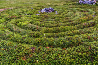 Similar image 21087214