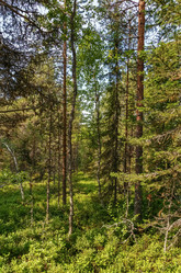 Similar image 21087226