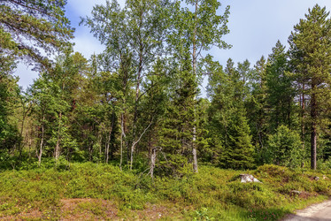 Similar image 21087227