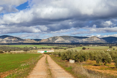 Similar image 21101063