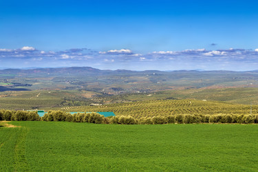 Similar image 21101067