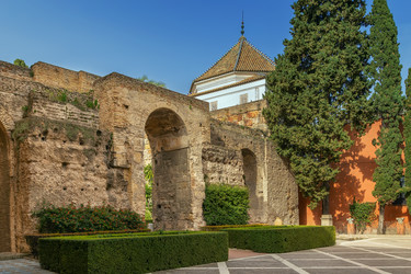 Similar image 21104837