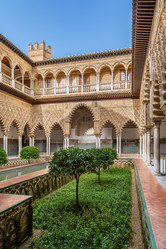 Similar image 21093969