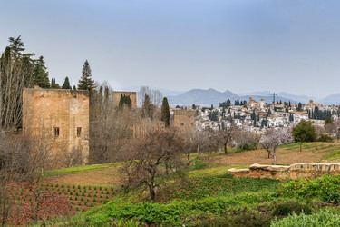 Similar image 21094062