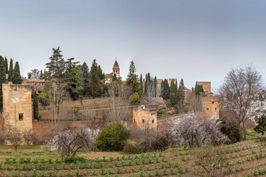 Similar image 21094068