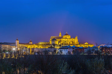 Similar image 21101033