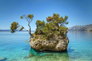 Similar image 21086877