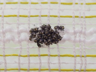 Similar image 21100932