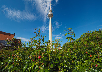 Similar image 21100944