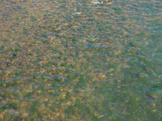 Similar image 21100990