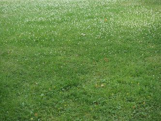 Similar image 21101357