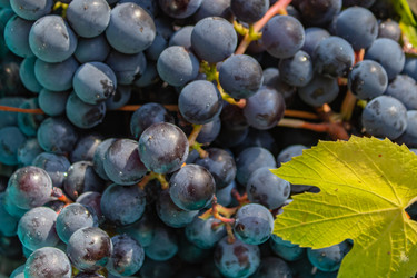 Similar image 21116445