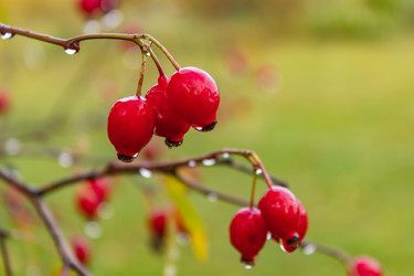 Similar image 21116446