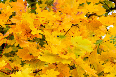 Similar image 21116450