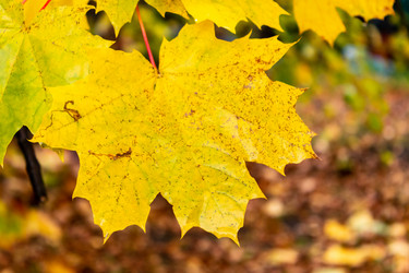 Similar image 21116451