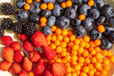 Similar image 21116456