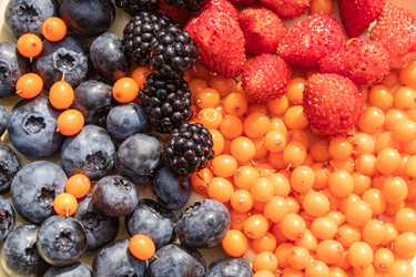 Similar image 21116471