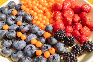 Similar image 21116472