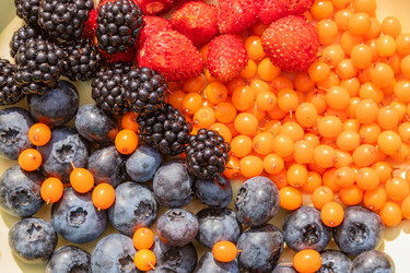 Similar image 21116473