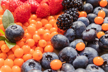 Similar image 21116476