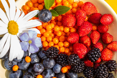 Similar image 21116481