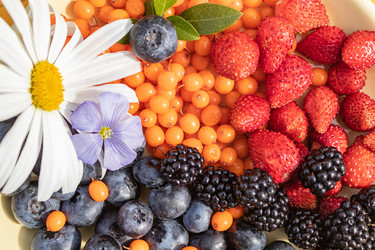 Similar image 21116483