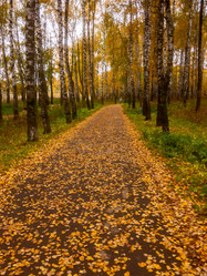 Similar image 21116484