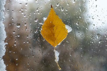 Similar image 21116485