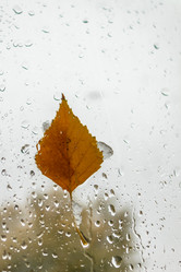 Similar image 21120655