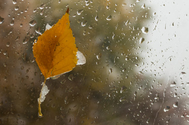 Similar image 21120656