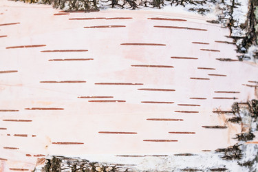 Similar image 21120658