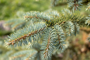 Similar image 21120659