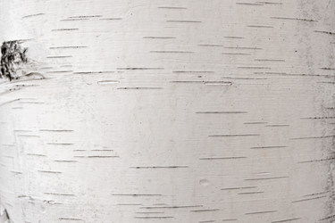 Similar image 21120920