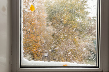 Similar image 21120922