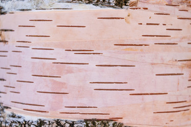 Similar image 21120923