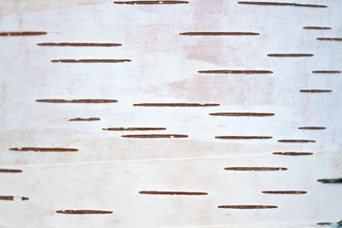 Similar image 21120924