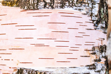 Similar image 21120925