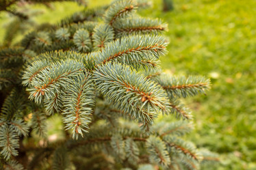 Similar image 21120931