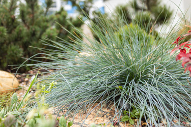 Similar image 21120934