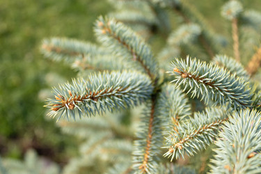 Similar image 21120935