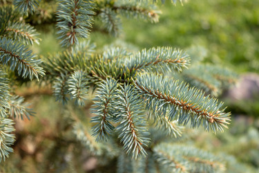 Similar image 21120937