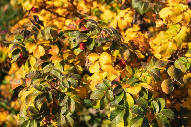 Similar image 21120943