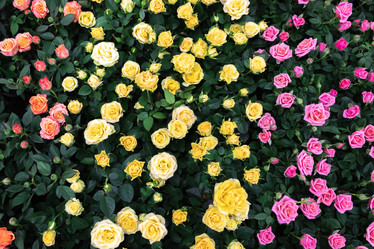 Similar image 21120952