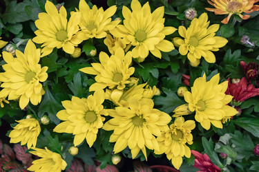 Similar image 21120956